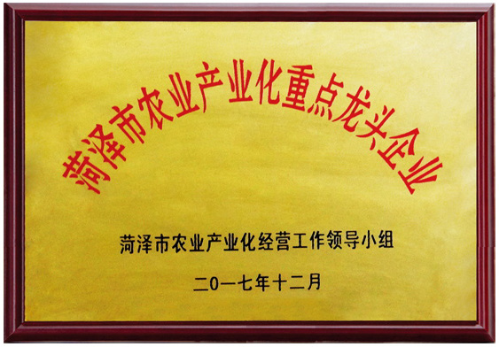 菏澤市農業(yè)產(chǎn)業(yè)化重點(diǎn)龍頭企業(yè).jpg