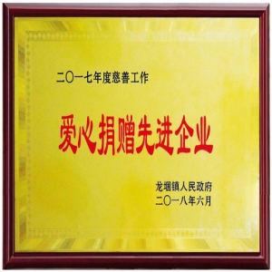 2017年度愛(ài)心捐贈先進(jìn)企業(yè)