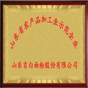 山東省農產(chǎn)品加工業(yè)示范企業(yè)
